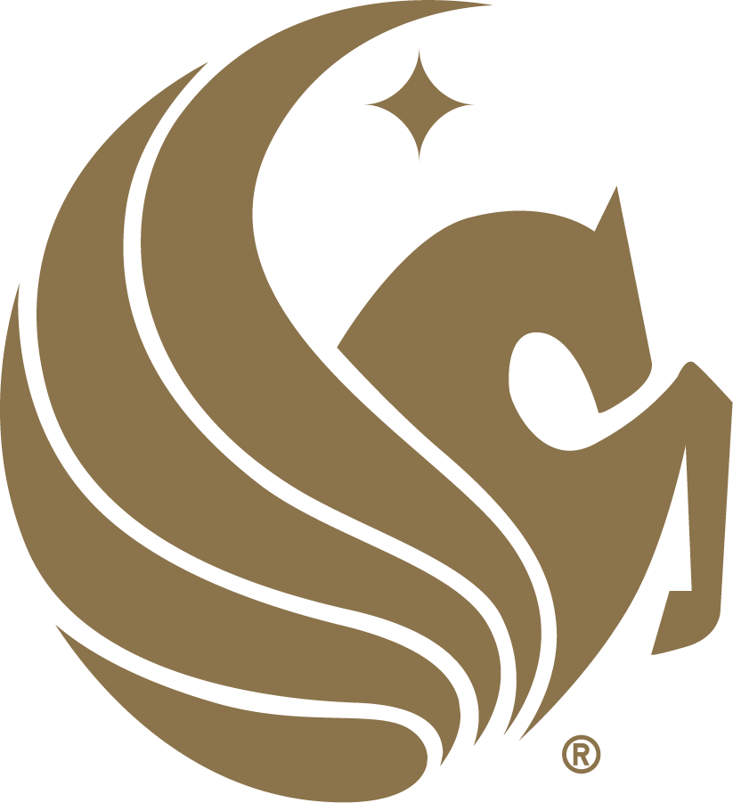 Central Florida Knights 2007-2017 Misc Logo DIY iron on transfer (heat transfer)